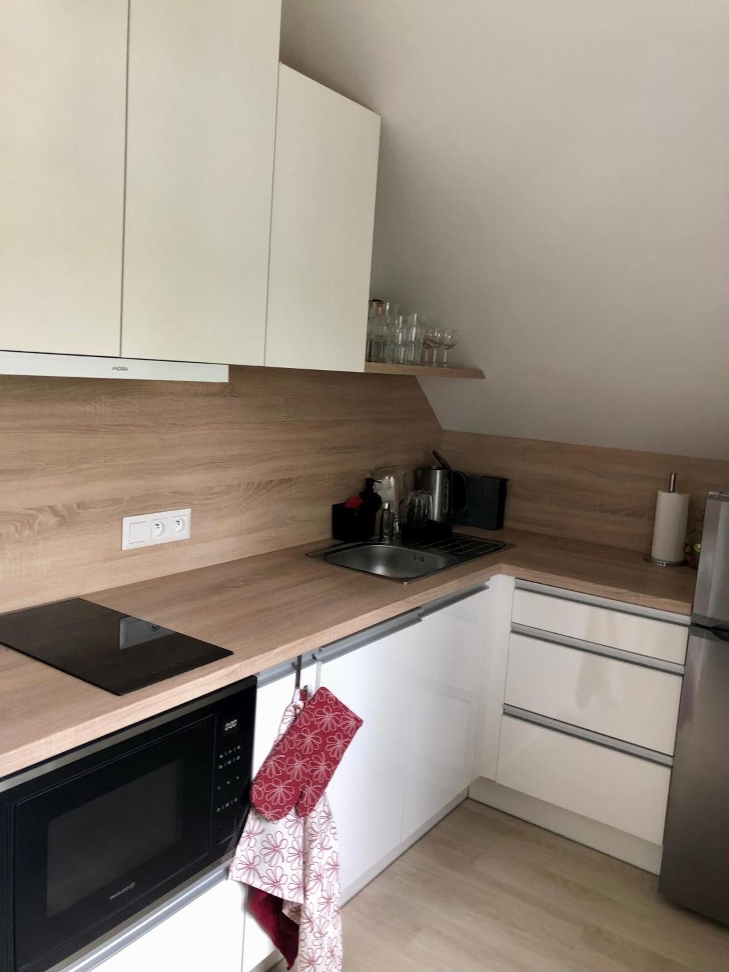 Apartman Krusne Hory - Erzgebirge ฮอร์นีบลาทนา ภายนอก รูปภาพ