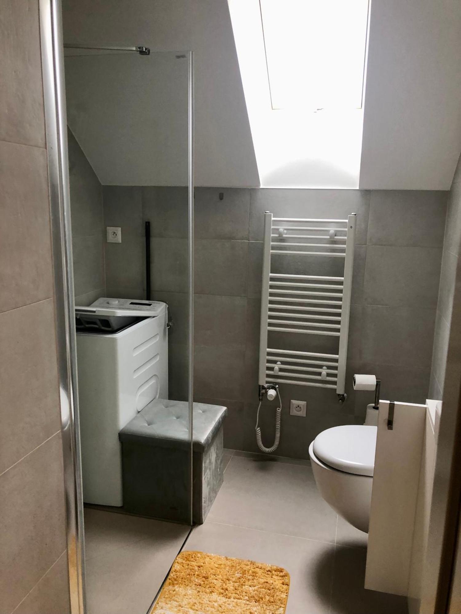 Apartman Krusne Hory - Erzgebirge ฮอร์นีบลาทนา ภายนอก รูปภาพ