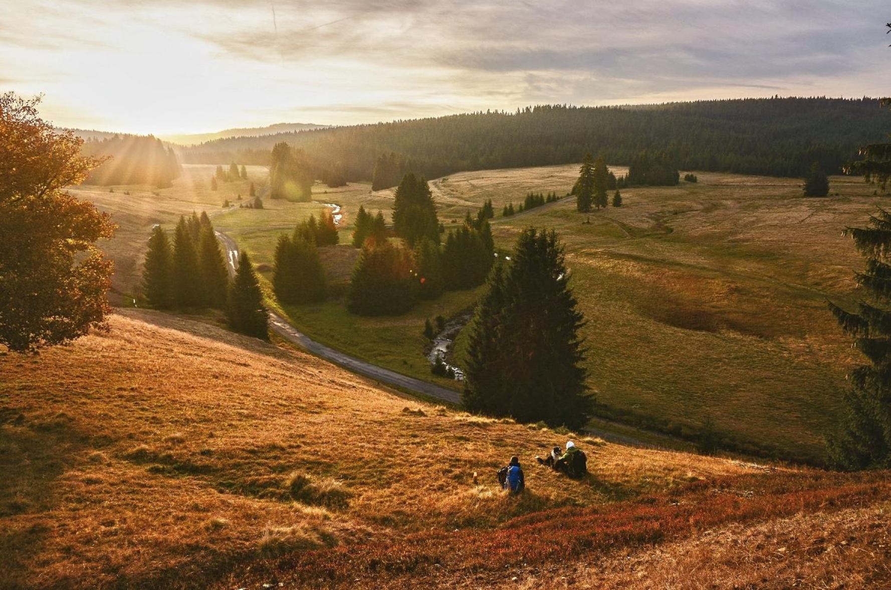 Apartman Krusne Hory - Erzgebirge ฮอร์นีบลาทนา ภายนอก รูปภาพ