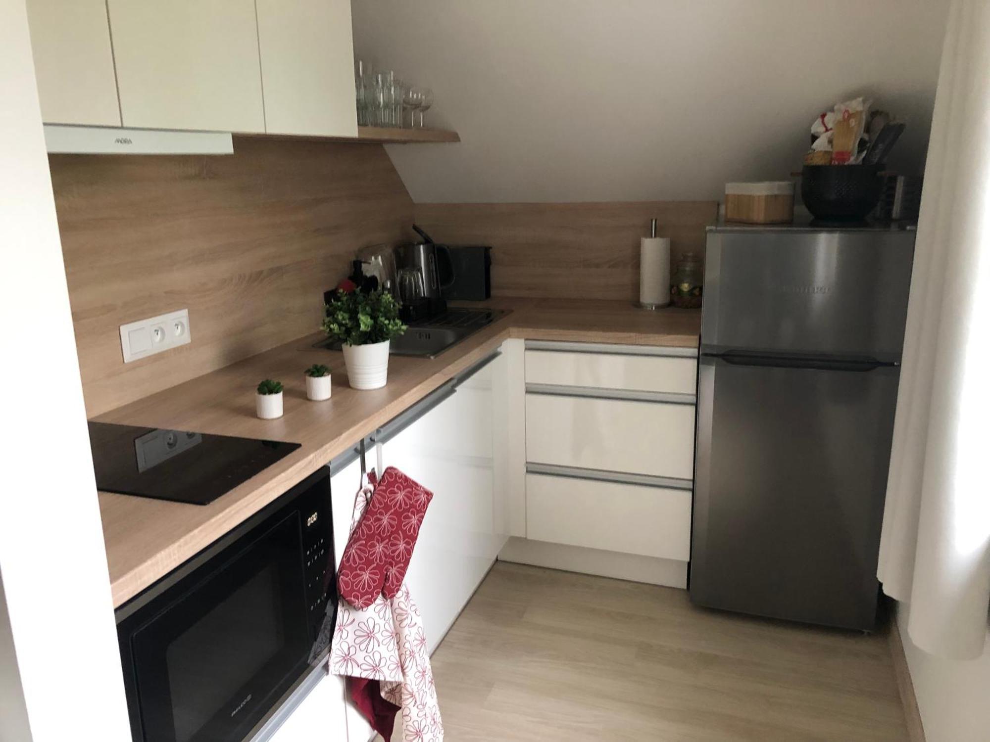 Apartman Krusne Hory - Erzgebirge ฮอร์นีบลาทนา ภายนอก รูปภาพ